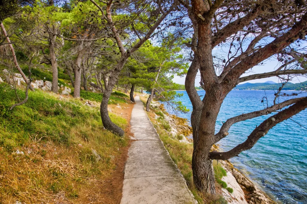 a trail along the coast of the island lošinj